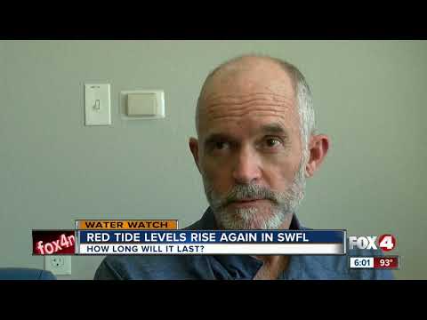 Red tide map shows high concentrations in Charlotte and Lee counties