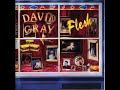 07 •  David Gray - Made Up My Mind  (Demo Length Version)