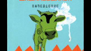 LaBrassBanda - Zehnerlfuxa