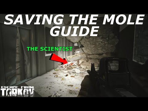 Saving the Mole Guide || Escape From Tarkov