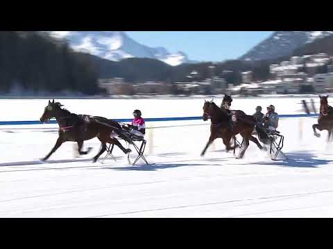 Race 1 Trabrennen 1700m, GP GAMMACATERING