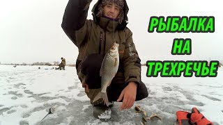 Отчеты о рыбалки по тульской области