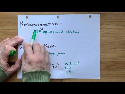 Is this particle Paramagnetic or Diamagnetic?