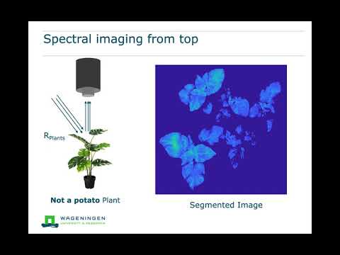 Close range hyperspectral imaging of plants (VSN correction)