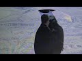 James Bond In The Invisible Car Chase Die Another Day