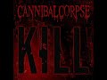 Cannibal Corpse  Murder Worship