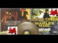 KRS ONE and MARLEY MARL - I was there