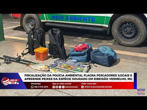 Polícia Militar Ambiental flagra pescadores ilegais e apreende peixes em Ribeirão Vermelho, MG