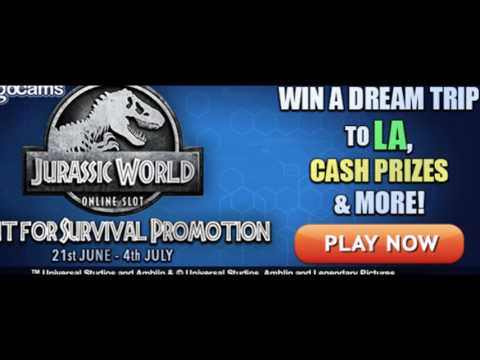 download lagu mp3 mp4 Top Bingo Websites, download lagu Top Bingo Websites gratis, unduh video klip Top Bingo Websites