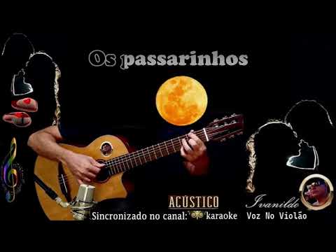 No Rancho Fundo - Ary Barroso