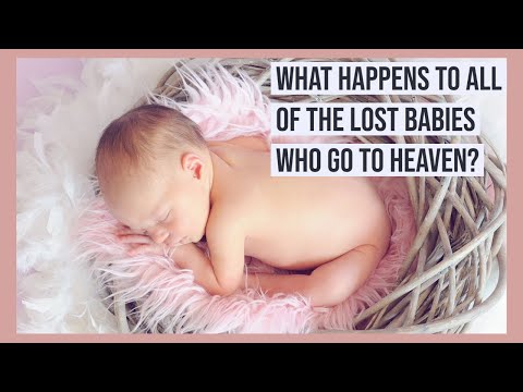 Witness21 Editor  2021 08 02