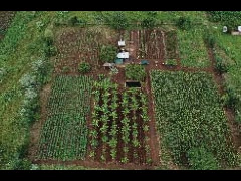 SJS One Acre Farm