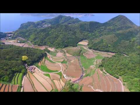 春日の棚田　平戸市世界遺産