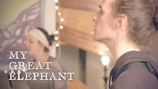 "Driving Me On" - My Great Elephant (Anima 10x10)