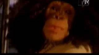 Planet Hemp - Ex-Quadrilha da Fumaça.