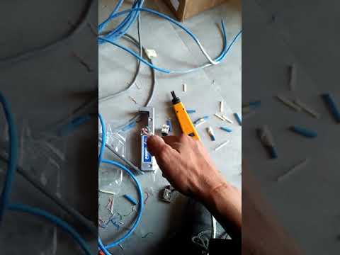 ferramenta de download para amplificador de patch panel