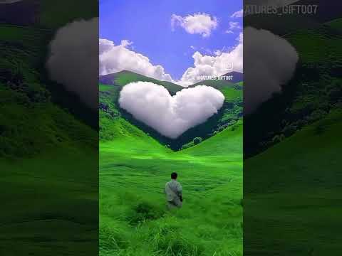 BLACK PAPAS_ KU MENYUSURI JALAN BERLIKU ( lirik )😇😇😎