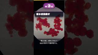 寿命を縮める歯磨きランキング #健康 #健康習慣 #プチ知識