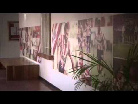 Promo Visorias Chivas