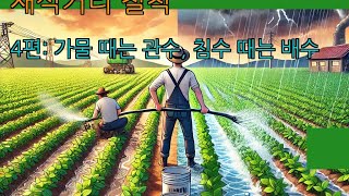 콩 평당 2kg 다수확, 이걸 꼭 지켜야 한다고? 그 7가지 철칙: 1~7편 모음중 4편 가물 때 관수, 폭…