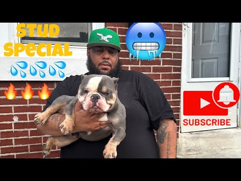 Nano stud open to the public,Makaveli❌YaYa son