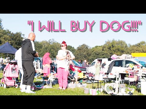 Carboot King - Compraré un perro 🤣