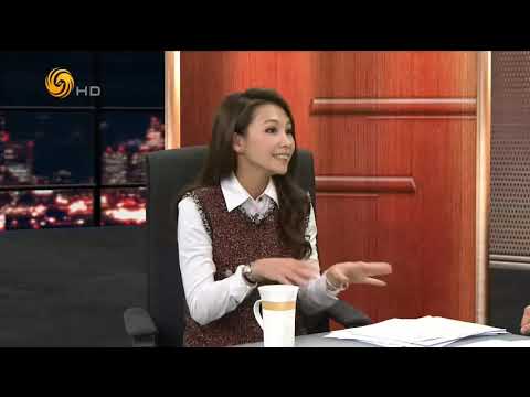 锵锵三人行20150101 窦文涛：马年流年不利 “马走日”触霉头