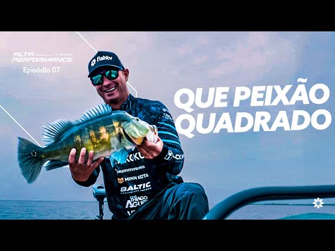 Tucunarés-AZUIS gigantes em Panorama-SP: pescaria de força e estratégia | Alta Performance