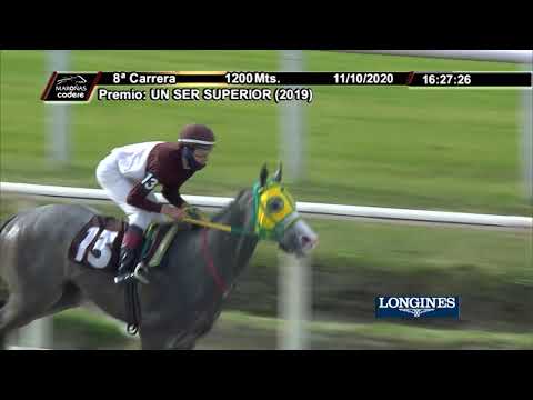 11/10/2020 – Hipodromo Maroñas – Carr 8 - UN SER SUPERIOR (2019)