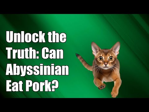 Unlock the Truth: Can Abyssinian Cats Safely Eat Pork? Don't Miss Out!