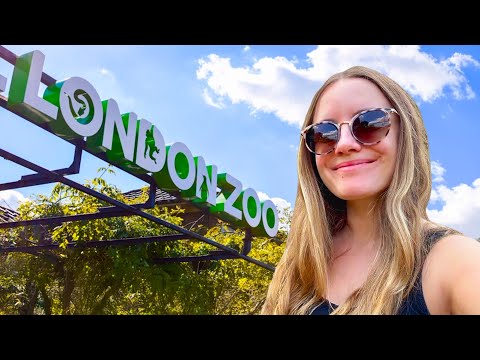 FIRST TIME at the London Zoo (honest reaction)