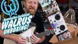Video thumbnail for Walrus Quarantine Unboxing - Jupiter / Janus / Warhorn / Voyager by 60 Cycle Hum
