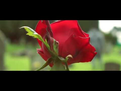 Andrézinho - Paz Em Tempo De Guerra ( VIDEO OFICIAL )