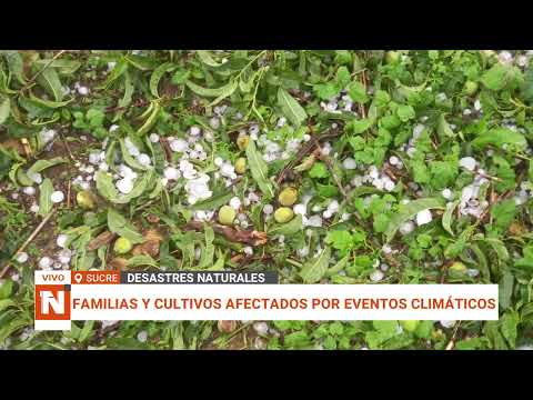 CHUQUISACA PODRÍA DECLARARSE EN DESASTRE POR LOS EFECTOS DE LOS DESASTRES NATURALES