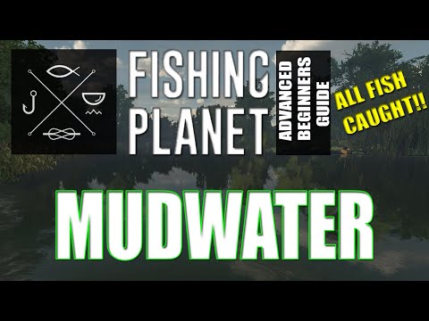 The Complete Fishing Planet Beginners Guide - Episode 2 - Mudwater River