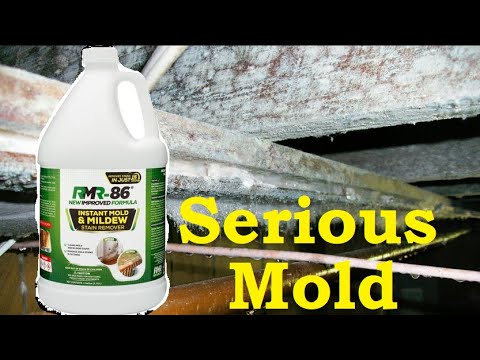 RMR 86 Pro Review, Will it Remove Serious Chunky Mold?