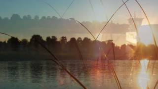 Mark Forster - Zu oft