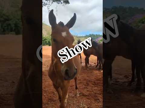 #reduto #minasgerais