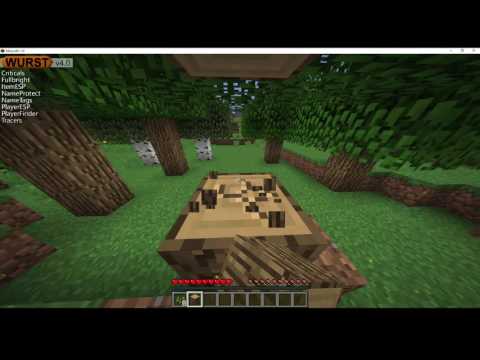 MINECRAFT ANARCHY LETS PLAY | HACKING [1]