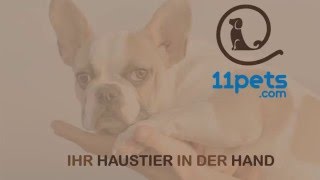 11Pets: Haustiere Pflege
