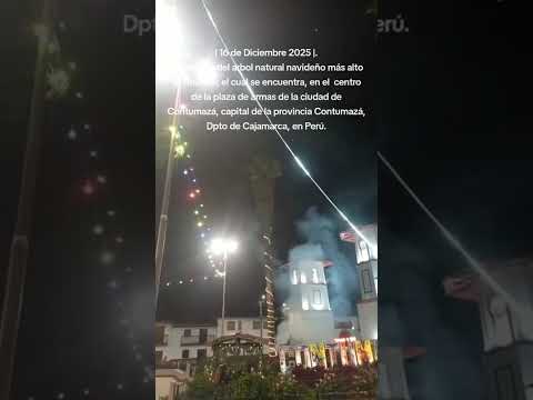 Encendido del arbol natural navideño más alto del mundo. Está en Contumazá - Dpto Cajamarca - Perú.