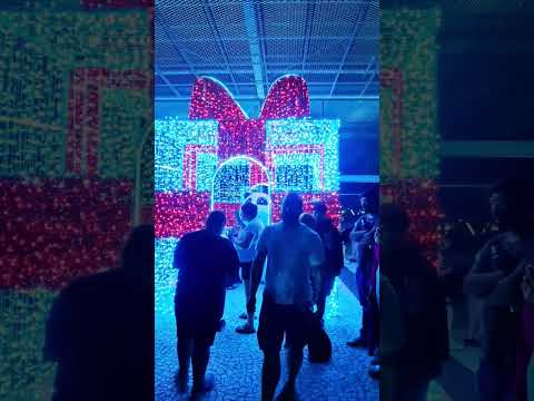 FESTA FREE SHOP. PANDA,RIO BRANCO URUGUAI #shorts,#riobrancouruguai,#pandafest,#cumbia,#fronteira,