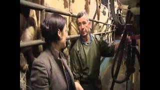 The Issue of Raw Milk in Ireland