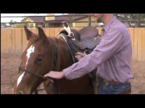 Colt Starting Part 2