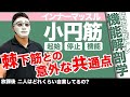 『小円筋!棘下筋との違いとは!?』CHICKEN HEART TV vol.156座学