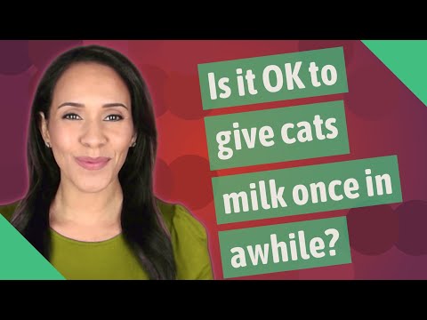 Is it OK to give cats milk once in awhile?