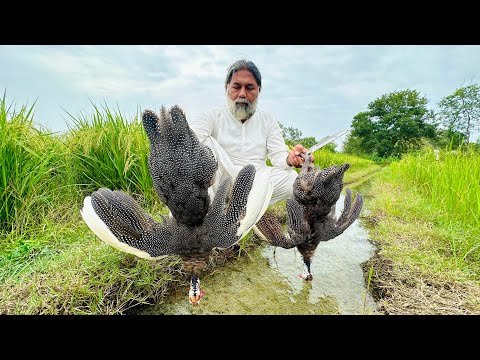 Guinea Fowl Cooking And Cutting | Guinea Fowl Roasting Recipe |Chakor Tawa Roast Recipe Mubarak Ali