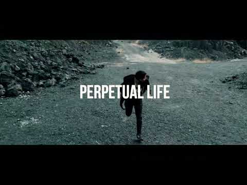 D1STRAUGHT - Perpetual Life (Official Videclip).