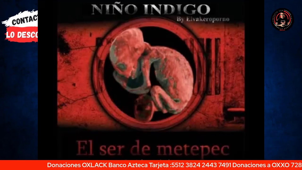 ¿ QUIÉN LE ROBÓ a Mr Doctor ?