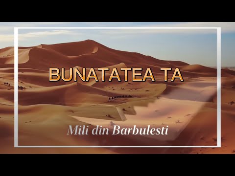 @MILIDINBARBULESTI - BUNĂTATEA TA  ( Feat. Elvis  ) [ Video Official 2022 ]